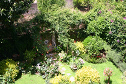 Meta Sorrento - Giardino della Suite Alimuri a Sorrento