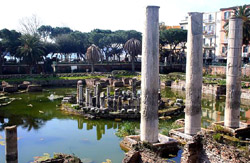 Phlegraean Fields Tour - The temple of Serapis in Pozzuoli