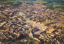 THE BIRD'S EYE VIEW OF THE RUINS OF POMPEII