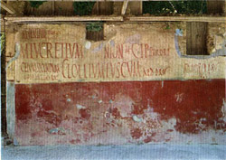 The wall inscriptions of Pompeii