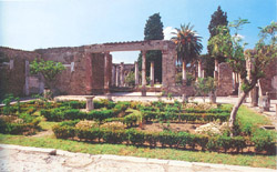 The House of the Faun in Pompeii